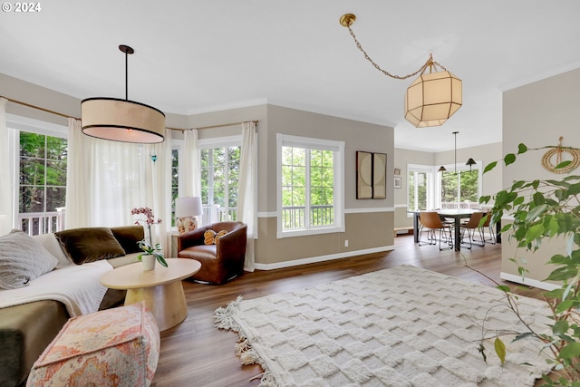 7297 Holly St, Springfield, OR 97478 - living area featuring wood finished floors and crown molding