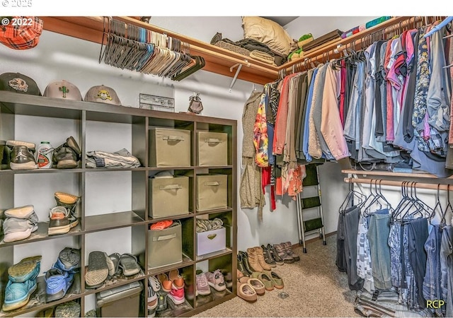 10387 N Mohawk Ave, Portland, OR 97203 - walk in closet featuring carpet flooring