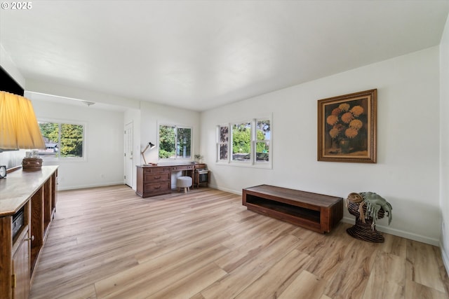 interior space featuring plenty of natural light, light wood-style flooring, and baseboards