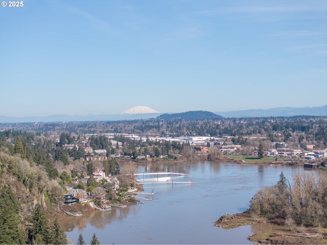 property view of water featuring a mountain view