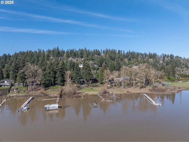 water view with a floating dock