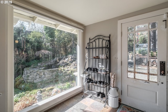 entryway with plenty of natural light