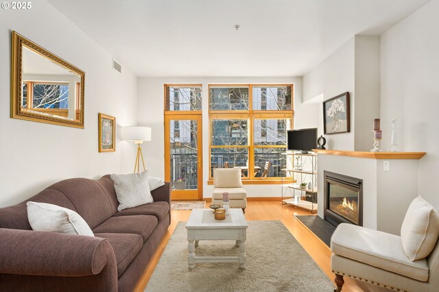 living room featuring light hardwood / wood-style flooring