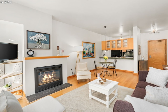 living room with hardwood / wood-style floors