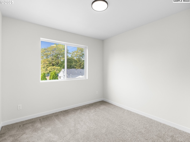 empty room featuring carpet floors