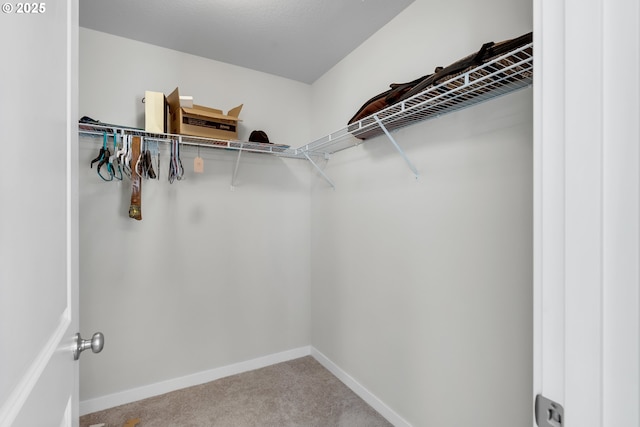 walk in closet featuring carpet flooring