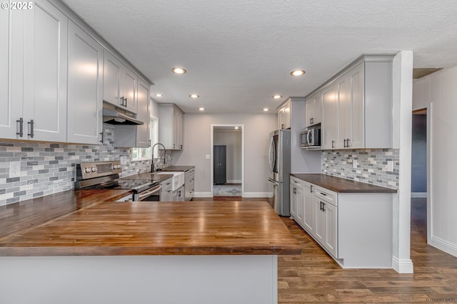 35538 SE Snuffin Rd, Estacada, OR 97023 - kitchen with appliances with stainless steel finishes, wooden counters, under cabinet range hood, baseboards, and recessed lighting
