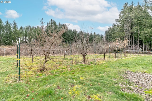 35538 SE Snuffin Rd, Estacada, OR 97023 - view of local wilderness
