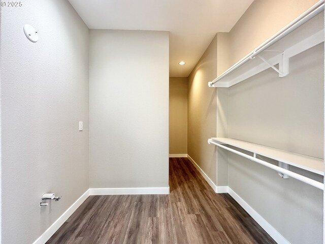 walk in closet featuring dark wood-style floors