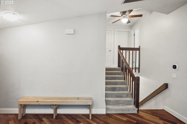 staircase featuring hardwood / wood-style floors and ceiling fan