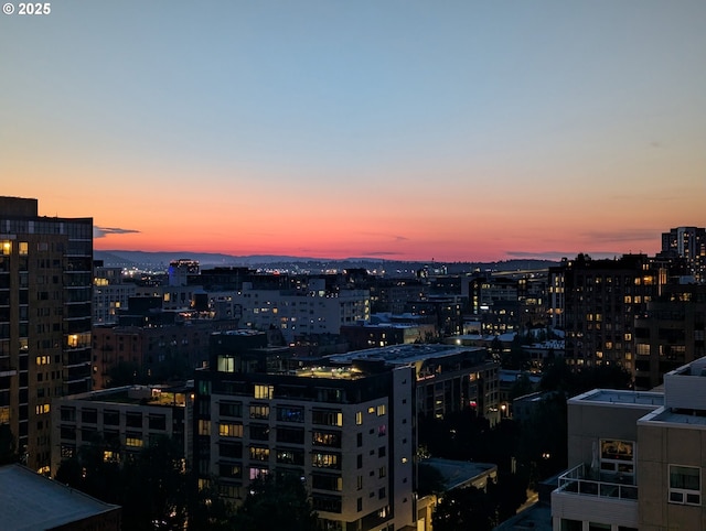 1025 NW Couch St Unit 1320, Portland, OR 97209 - view of city
