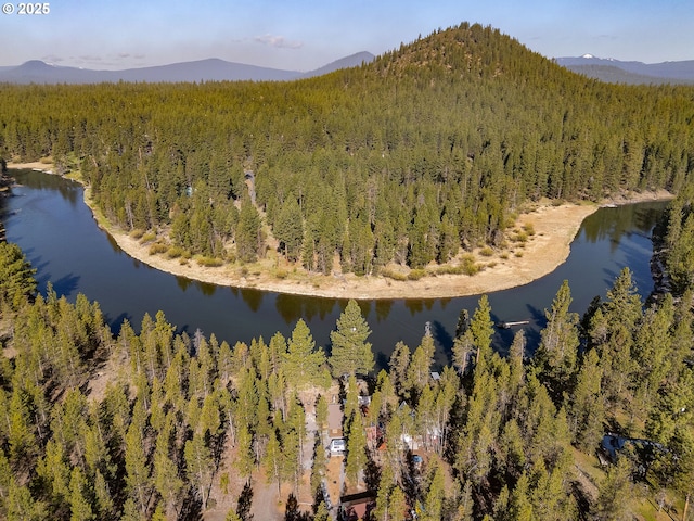 drone / aerial view of a forest and a water and mountain view