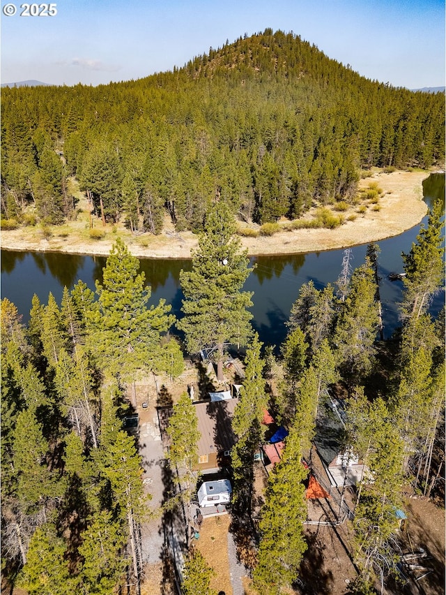 drone / aerial view of a forest and a nearby body of water