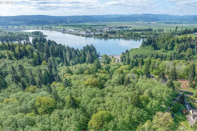 Mill Falls Ln, Longview, WA 98632