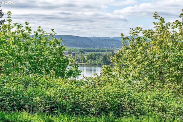 Mill Falls Ln, Longview, WA 98632