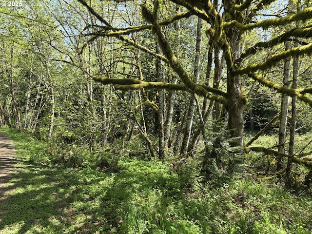 Mill Falls Ln, Longview, WA 98632
