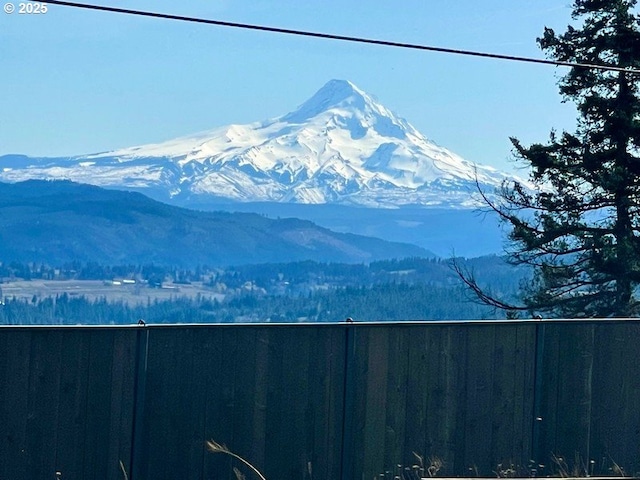 11081 Cook Underwood Rd, Underwood, WA 98651 - mountain view