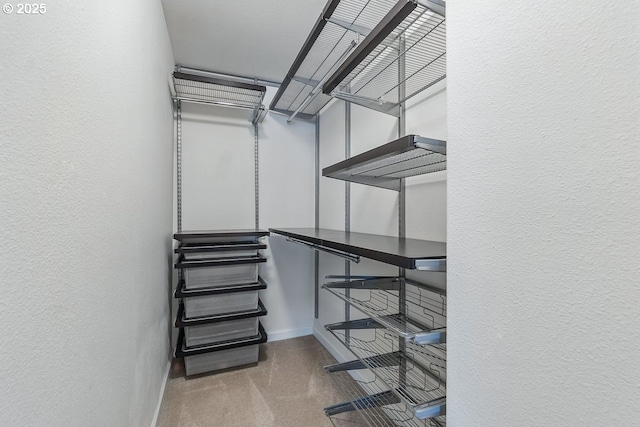 7091 SE Austin Dr, Hillsboro, OR 97123 - spacious closet featuring carpet flooring