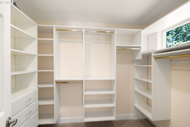 2977 Ingalls Way, Eugene, OR 97405 - view of spacious closet