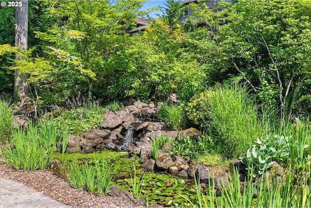 2812 Beacon Hill Dr, West Linn, OR 97068 - view of nature