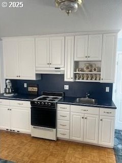 34085 Berg Rd, Warren, OR 97053 - kitchen featuring electric stove, under cabinet range hood, a sink, dark countertops, and white cabinets