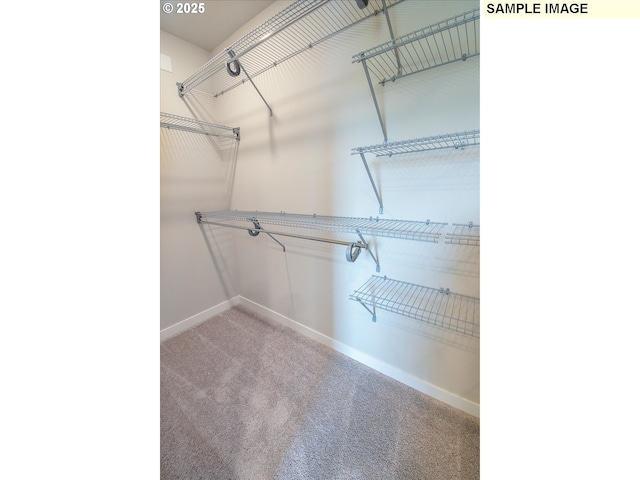 4205 NE 186th St Lot 265, Vancouver, WA 98686 - spacious closet featuring light colored carpet