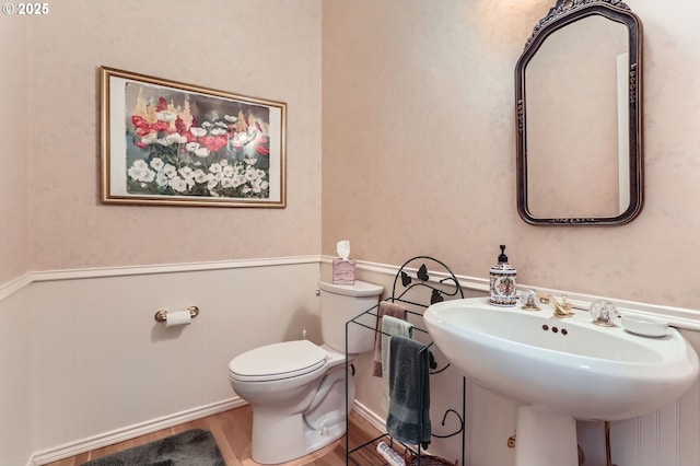 bathroom with a sink, toilet, and wood finished floors