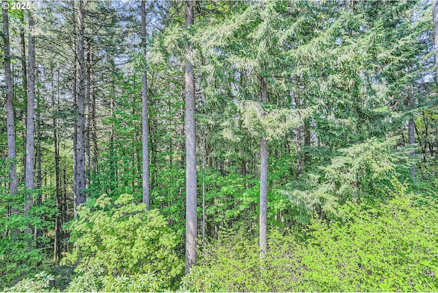 view of landscape featuring a wooded view