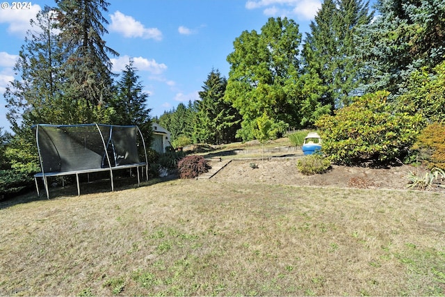 view of yard with a trampoline