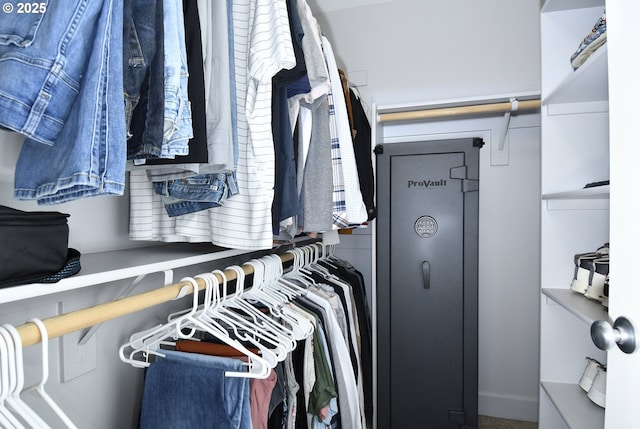 view of spacious closet