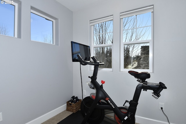 workout room featuring carpet