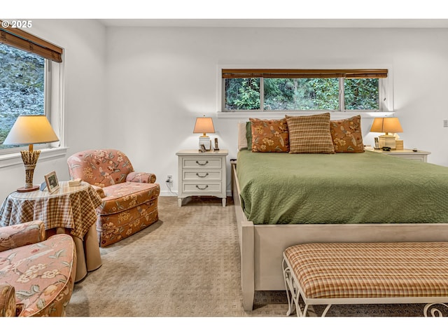 view of carpeted bedroom