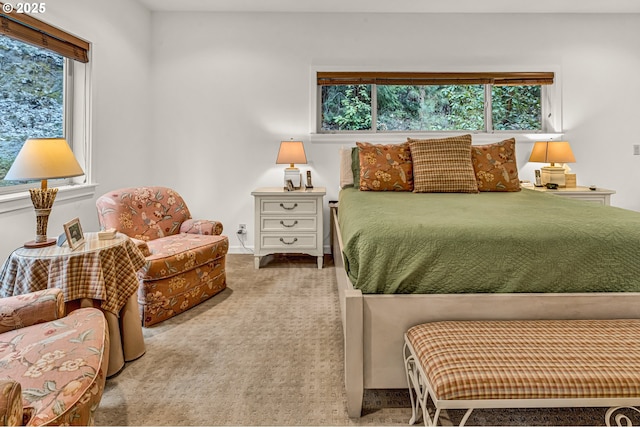 780 Pinecrest Dr, Grants Pass, OR 97526 - view of carpeted bedroom