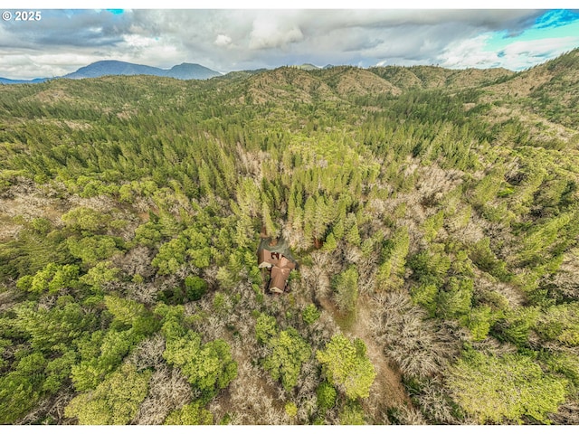 view of mountain feature featuring a view of trees