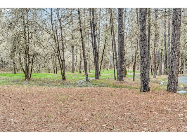 view of yard featuring a forest view