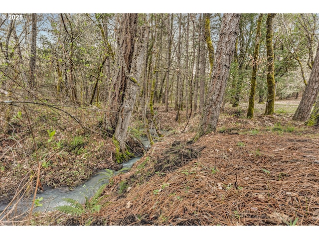 view of local wilderness