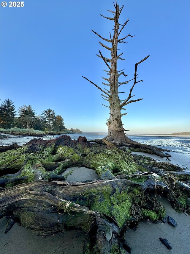 842 S Empire Blvd, Coos Bay, OR 97420 - view of local wilderness with a large body of water