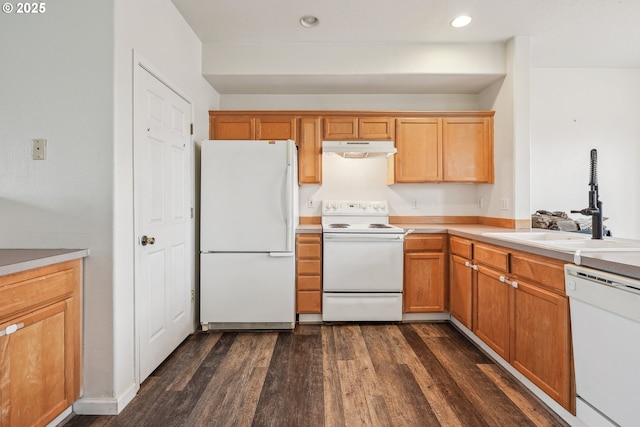 kitchen featuring a sink, under cabinet range hood, light countertops, white appliances, and dark wood-style flooring