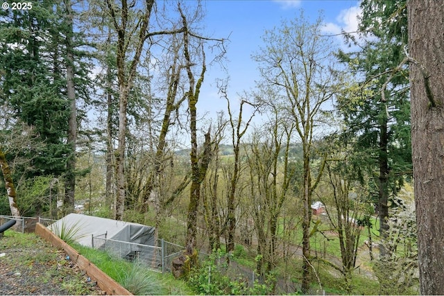 823 Terrace Dr, Scotts Mills, OR 97375 - exterior space featuring a view of trees