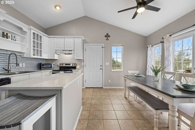 4841 Cedar St, Astoria, OR 97103 - kitchen with under cabinet range hood, a sink, vaulted ceiling, backsplash, and appliances with stainless steel finishes
