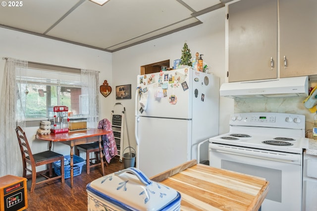 kitchen featuring white appliances and dark wood-type flooring