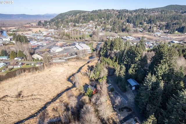 bird's eye view featuring a mountain view