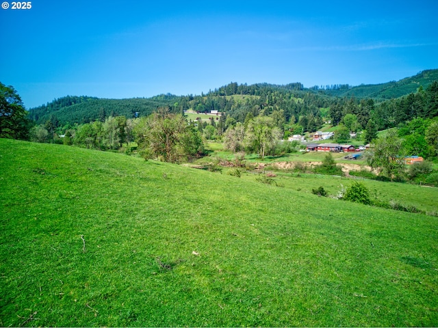 mountain view featuring a view of trees