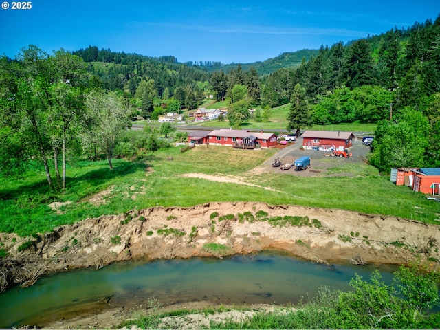 birds eye view of property with a view of trees and a water view
