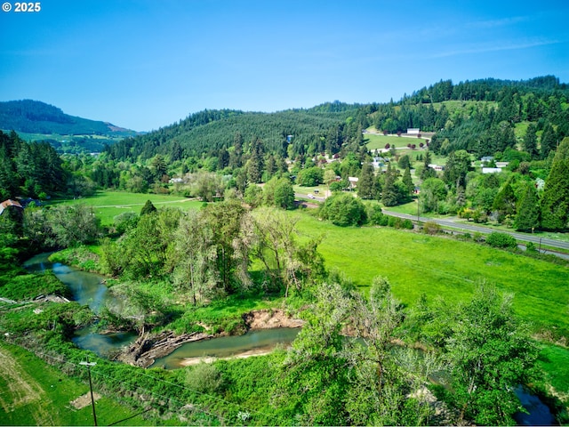 property view of mountains with a wooded view