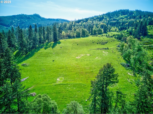 aerial view featuring a mountain view and a rural view