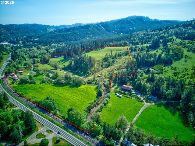 birds eye view of property with a wooded view and a mountain view