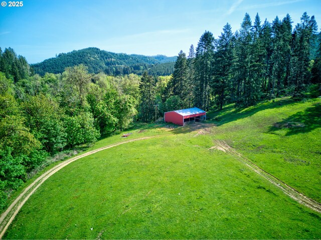 aerial view with a view of trees, a rural view, and a mountain view
