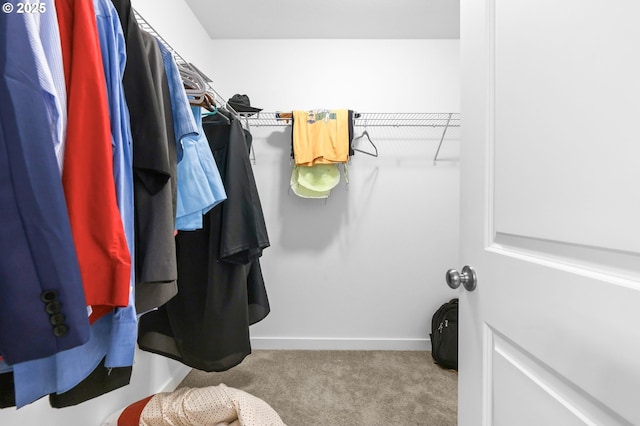 2095 S Heather St, Cornelius, OR 97113 - walk in closet featuring carpet flooring