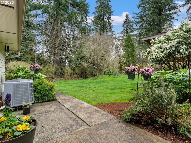 view of yard featuring cooling unit
